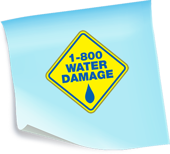 1800wd-log